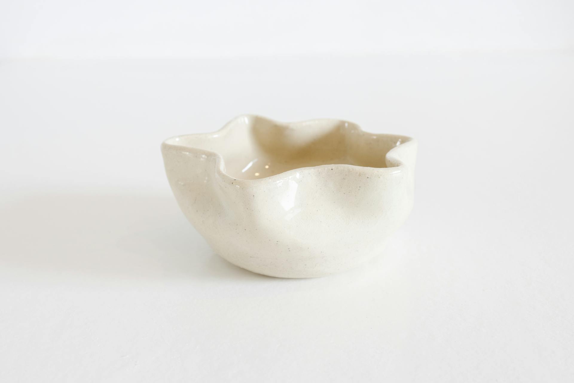 Design Porcelain Bowl