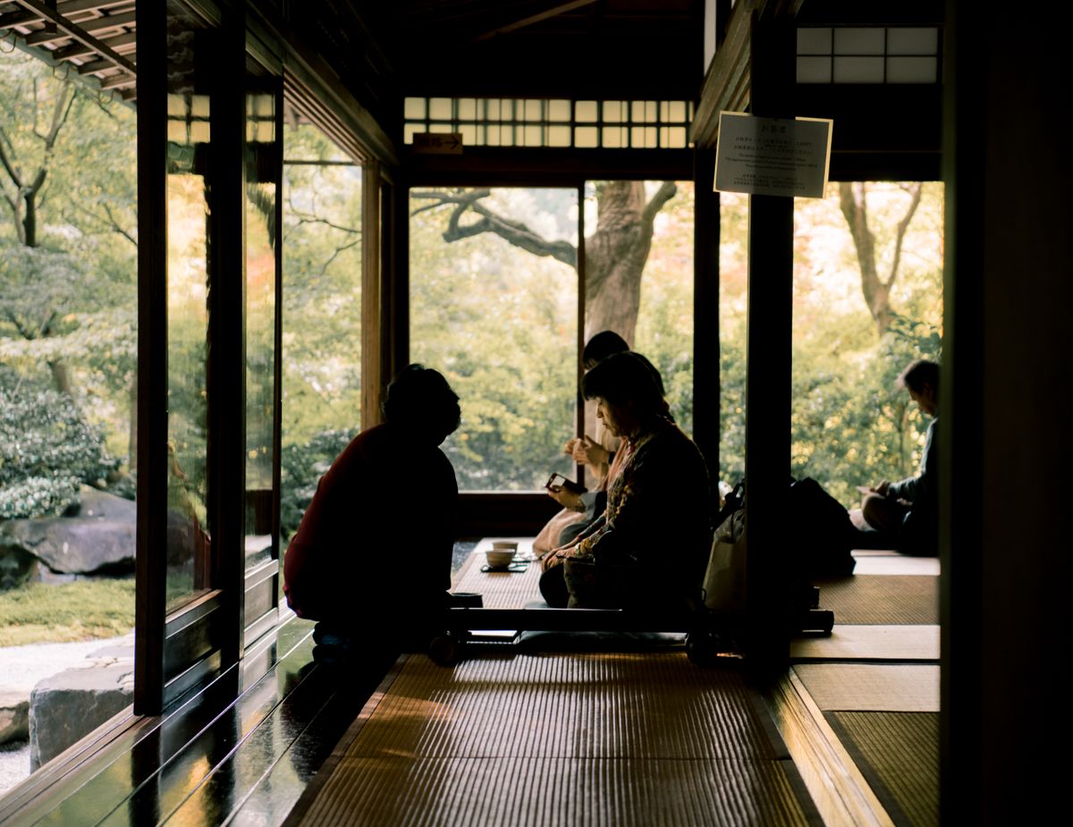 Guests enjoying a serene tea experience in a Kyoto tea room overlooking a lush garden