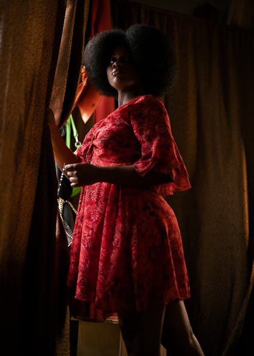 アフリカ系アメリカ人女性, アフロ, インドアの無料の写真素材