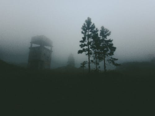 Wooden Watchtower in Fog