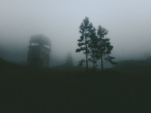 Free Moody foggy landscape featuring a silhouetted watchtower and trees. Captured during twilight. Stock Photo