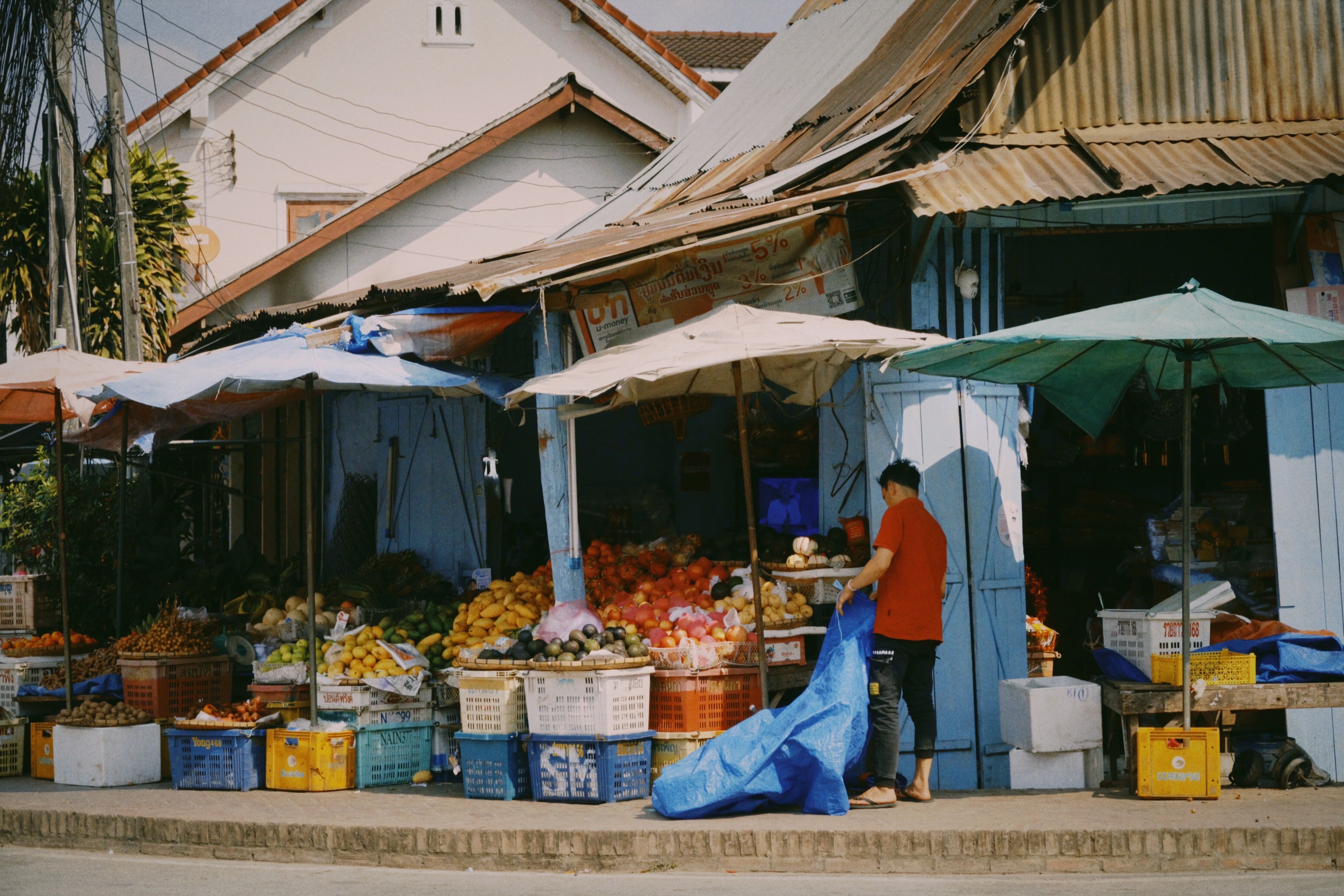 Fresh Fruit and Vegetables on a Market · Free Stock Photo