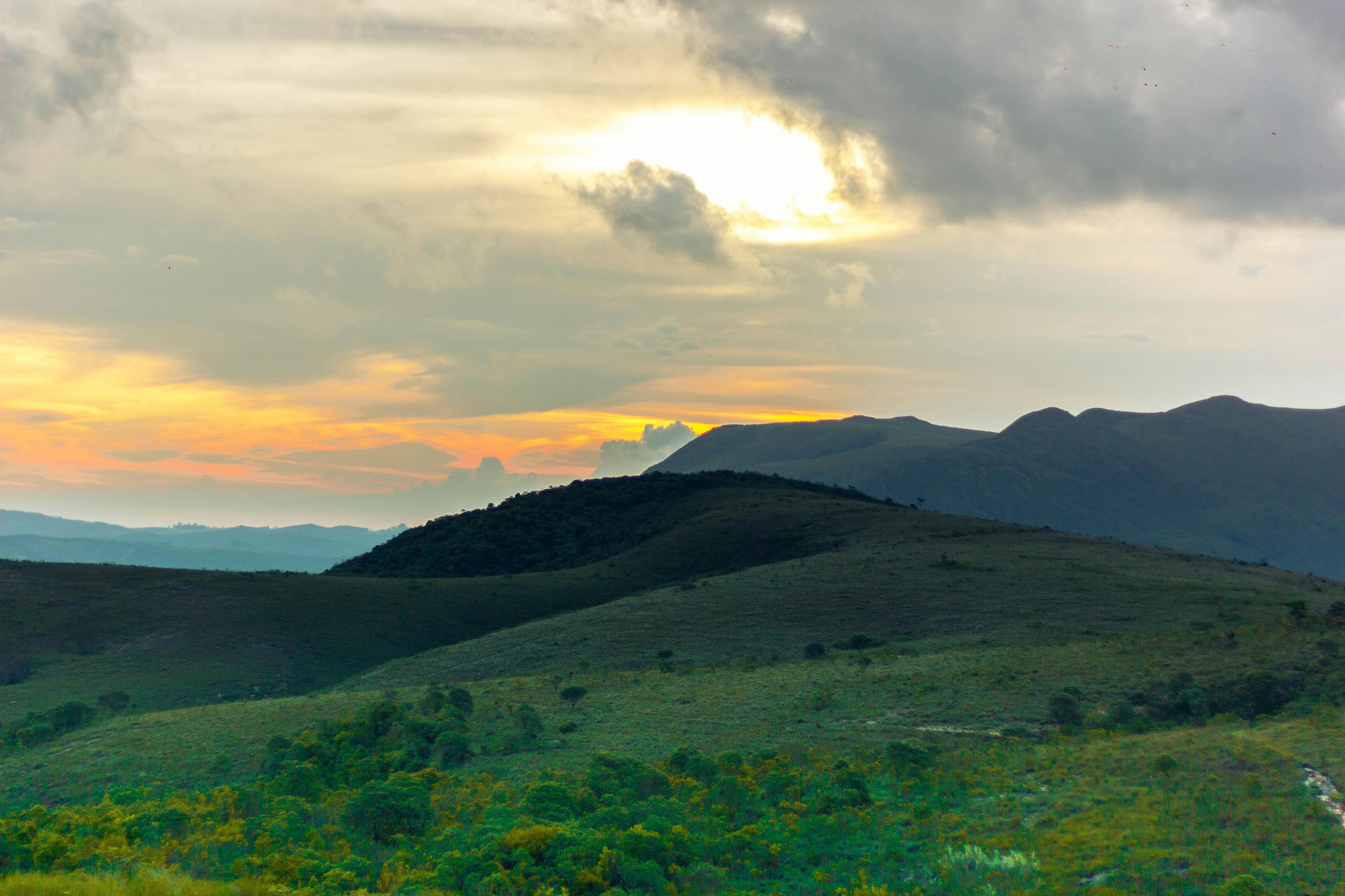 ベスト50 自然 壁紙 無料 すべての美しい花の画像