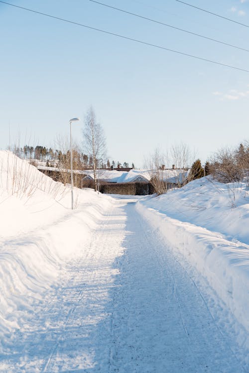 A Snowy Road on a Sunny Day 