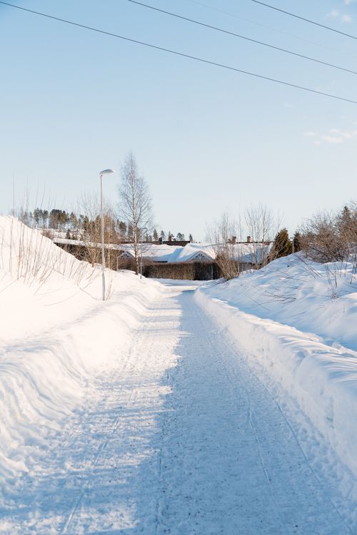 Free A peaceful snowy road lined with trees under a clear blue sky. Stock Photo