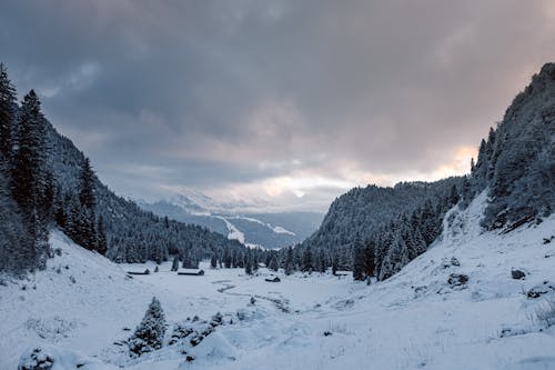 View of a Snowy Valley and a Forest under a Cloudy Sky 
