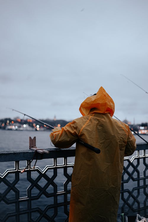 Ilmainen kuvapankkikuva tunnisteilla kalastus, kaupungit, kaupunki