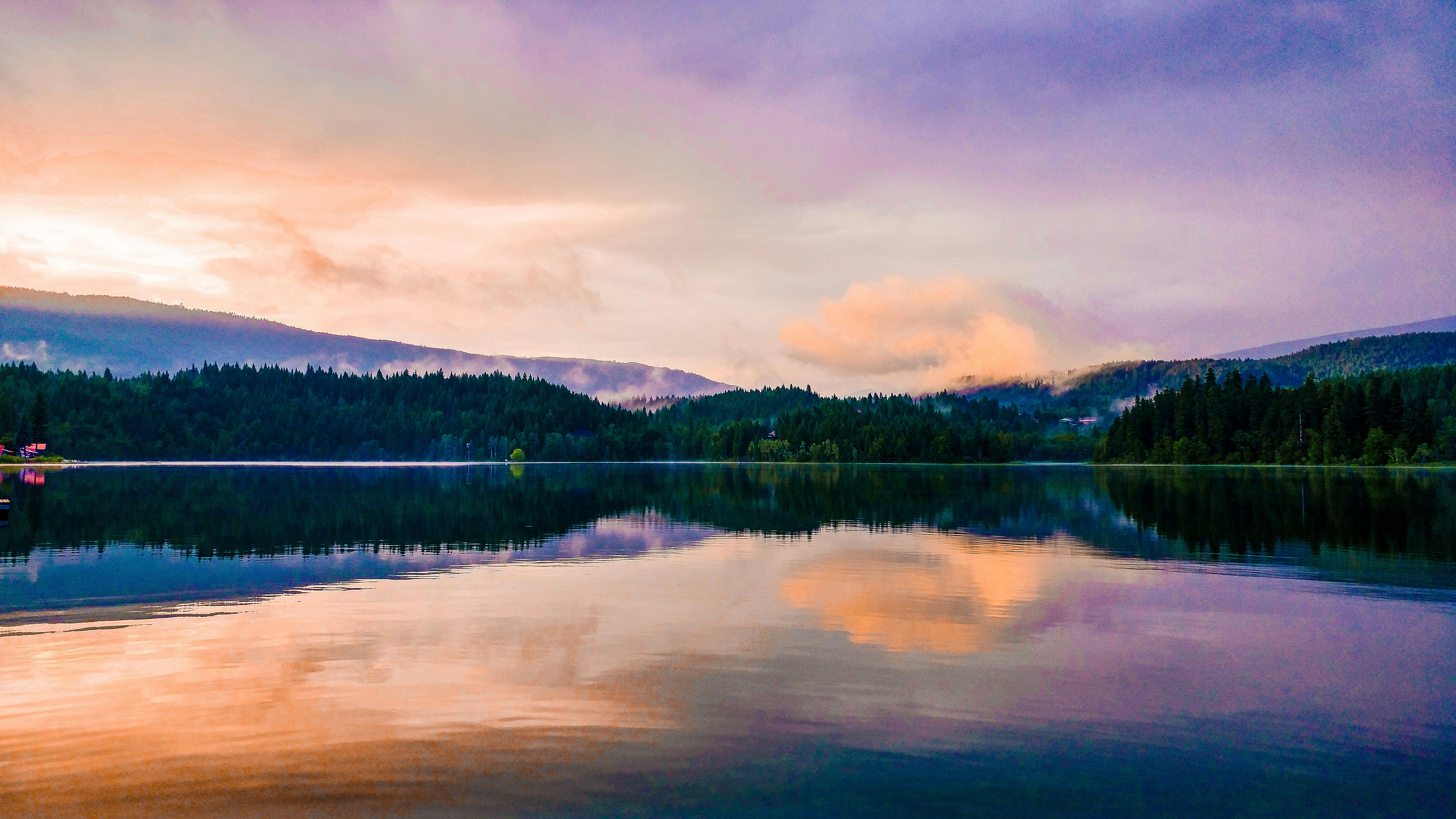 body of water and green trees in golden hour background