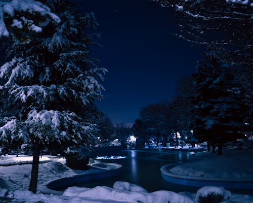 Foto profissional grátis de com frio, congelado, inverno