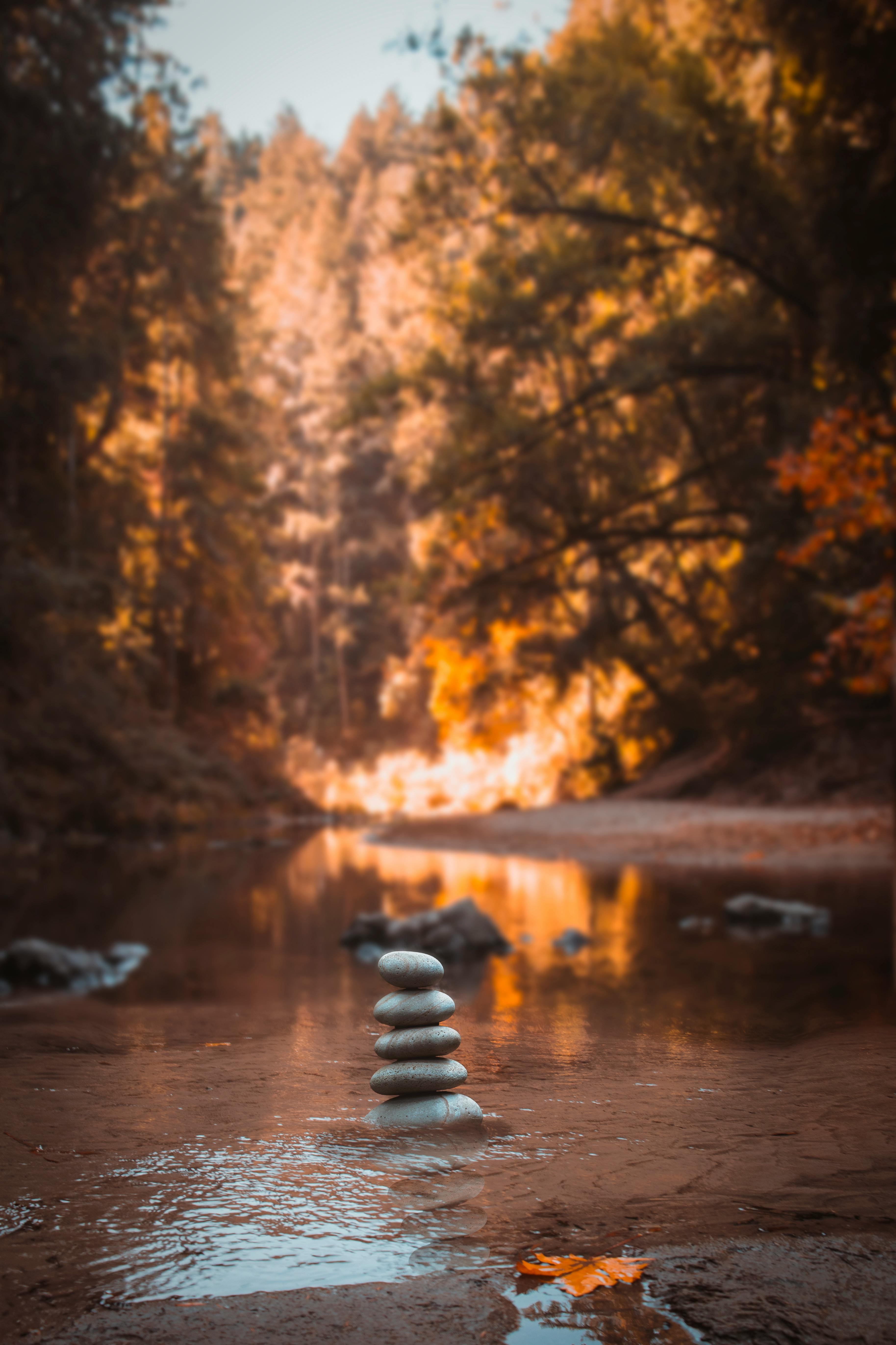 Person Sitting on Stone Near Body of Water · Free Stock Photo - 3655 x 5482 jpeg 1739kB