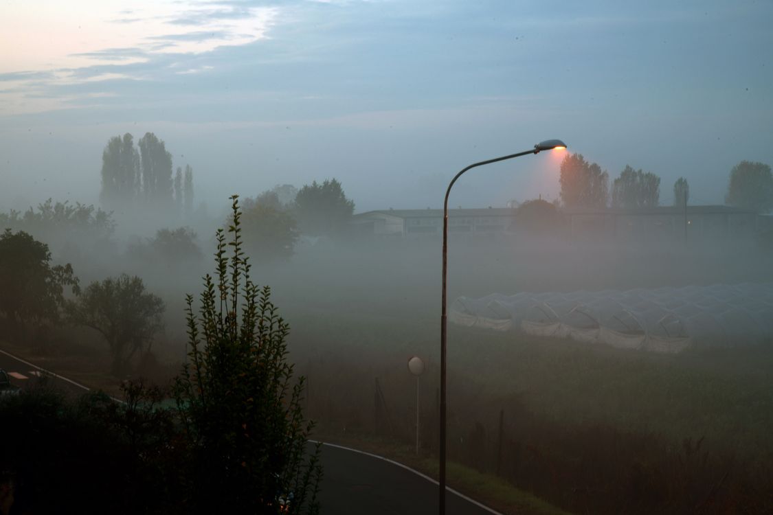 Free Stock Photo Of Fog November Winter free-stock-photo-of-fog-november-winter