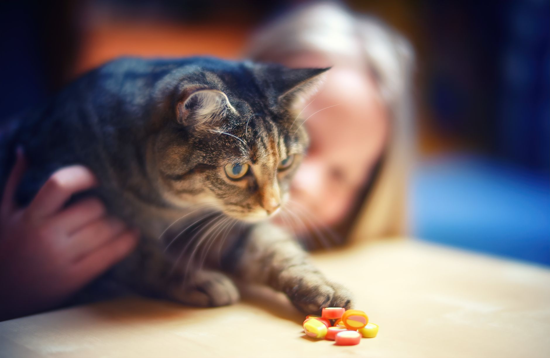A curious tabby cat reaching for colorful pills indoors, with a blurred background.