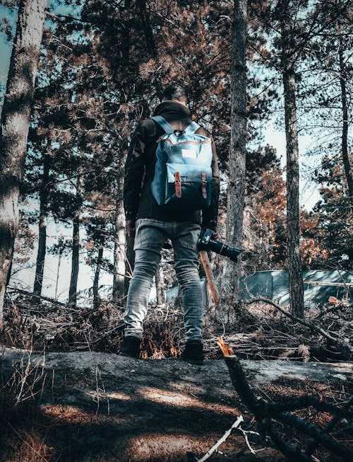 Man Wearing Gray Pants Standing Beside Trees