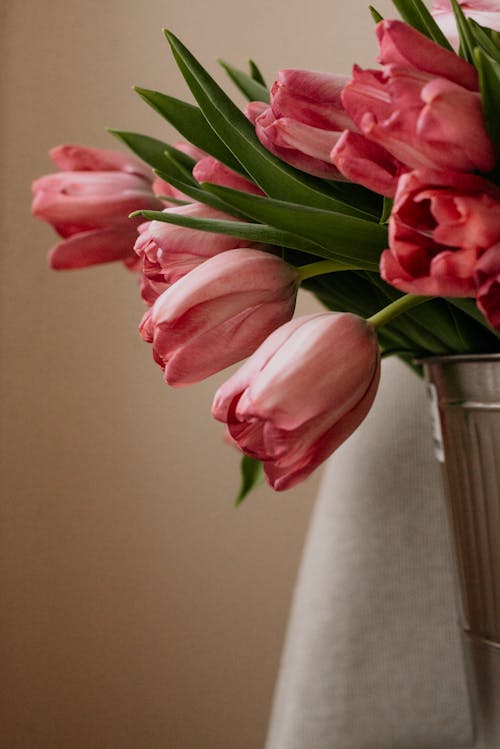Close-Up of a Pink Tulips in a Bucket