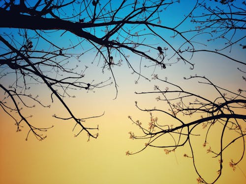 Kostenloses Stock Foto zu atmosfera de outono, herbst hintergrund, herbstsaison