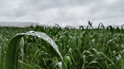 雪中经典语录 雪中经典语录名句