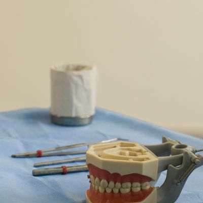 Modelo dentário e instrumentos