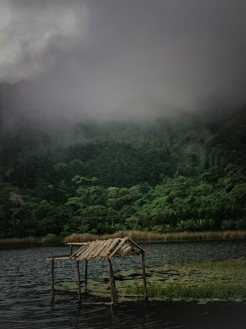 Cloud over Lake and Deep Forest