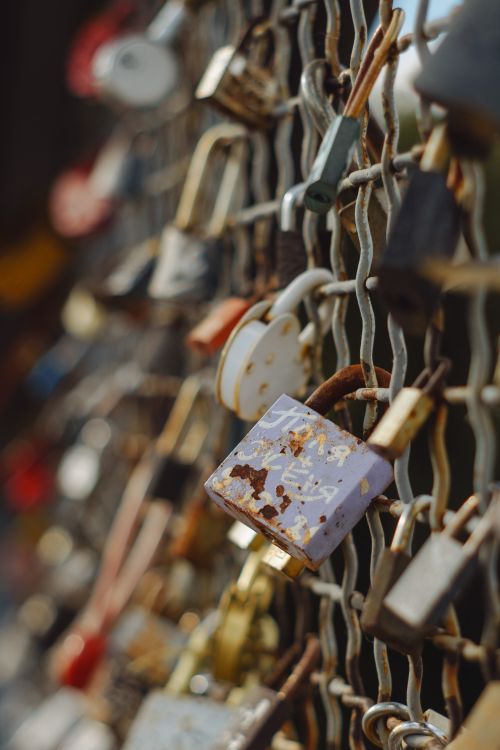 Free Close-up of rusty padlocks hanging on a metal mesh fence symbolizing love and security. Stock Photo