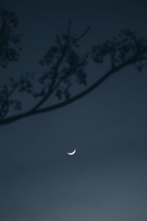 Darmowe zdjęcie z galerii z księżyc, noc, pionowy strzał