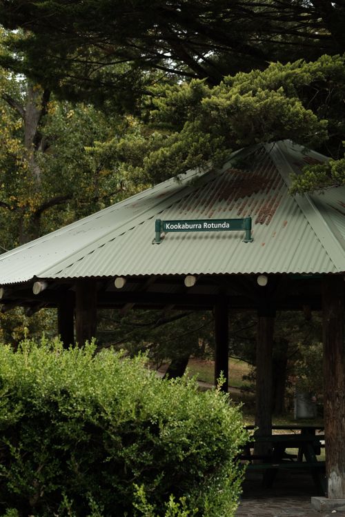 Free Gazebo surrounded by lush greenery in a peaceful, wooded park area. Stock Photo