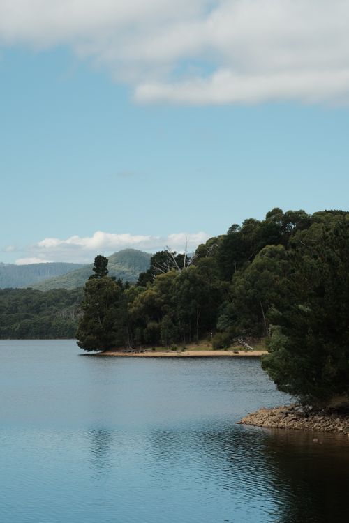 Free Serene lakeside view with forest and mountains under clear sky in summer. Stock Photo