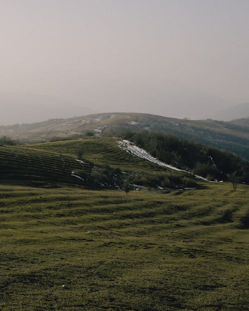 Green Field and Hill in Countryside