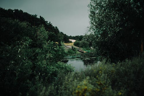 Summer Landscape with River