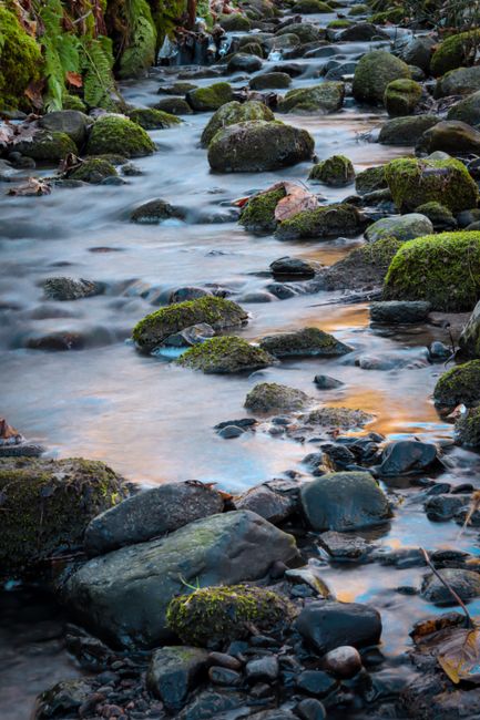 Fotomural Una toma de larga exposición pacífica de un arroyo con rocas musgosas y un caudal vibrante.