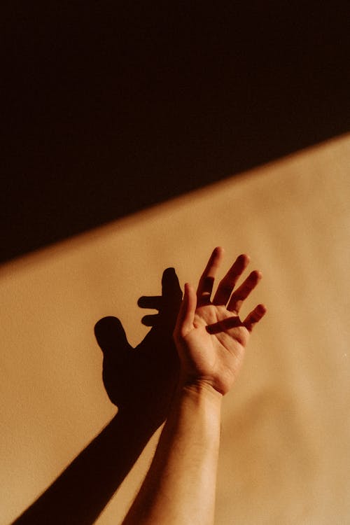 Ilmainen kuvapankkikuva tunnisteilla auringonvalo, henkilö, kädet ihmisen kädet