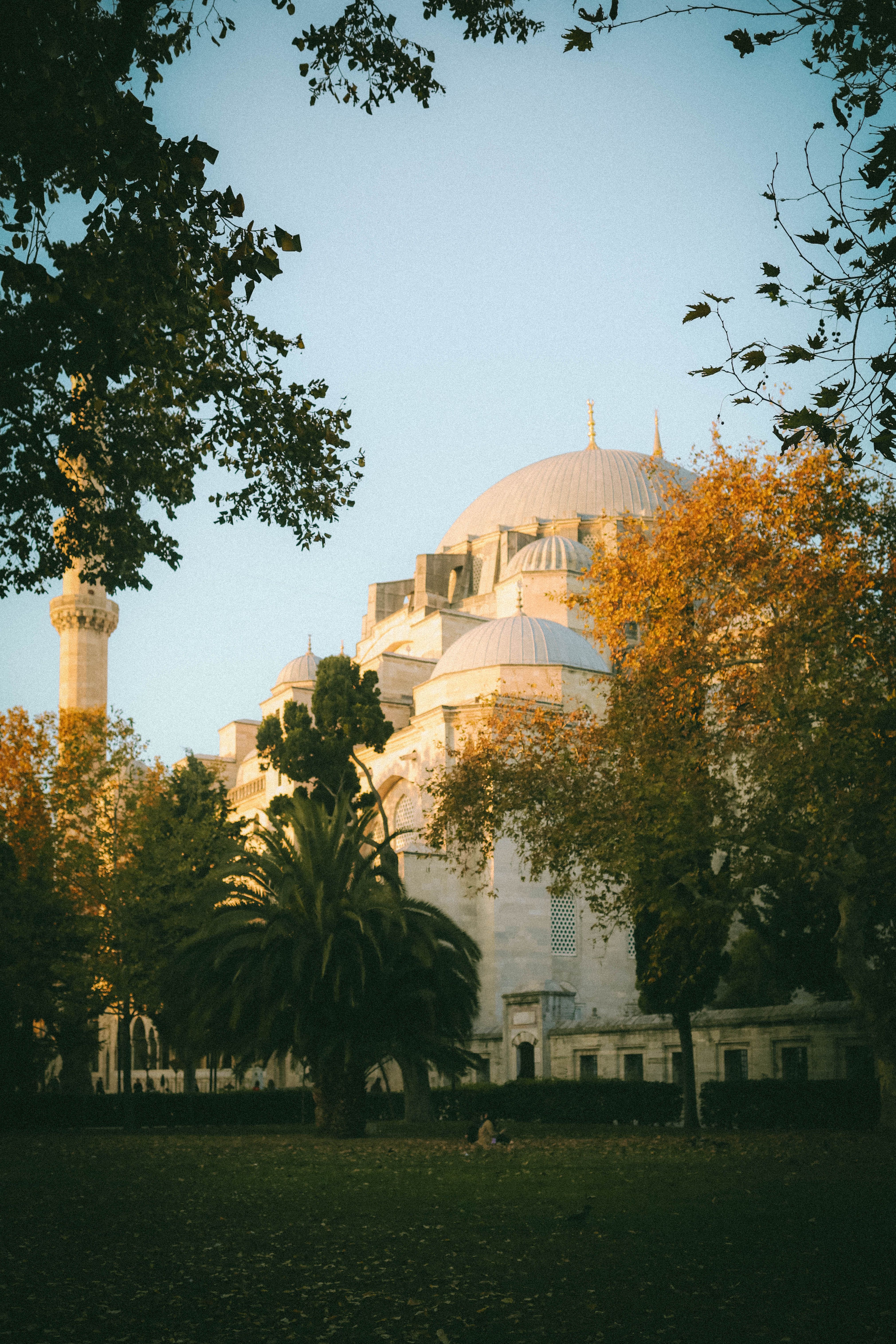 Dome of a Mosque in Istanbul Among Trees · Free Stock Photo