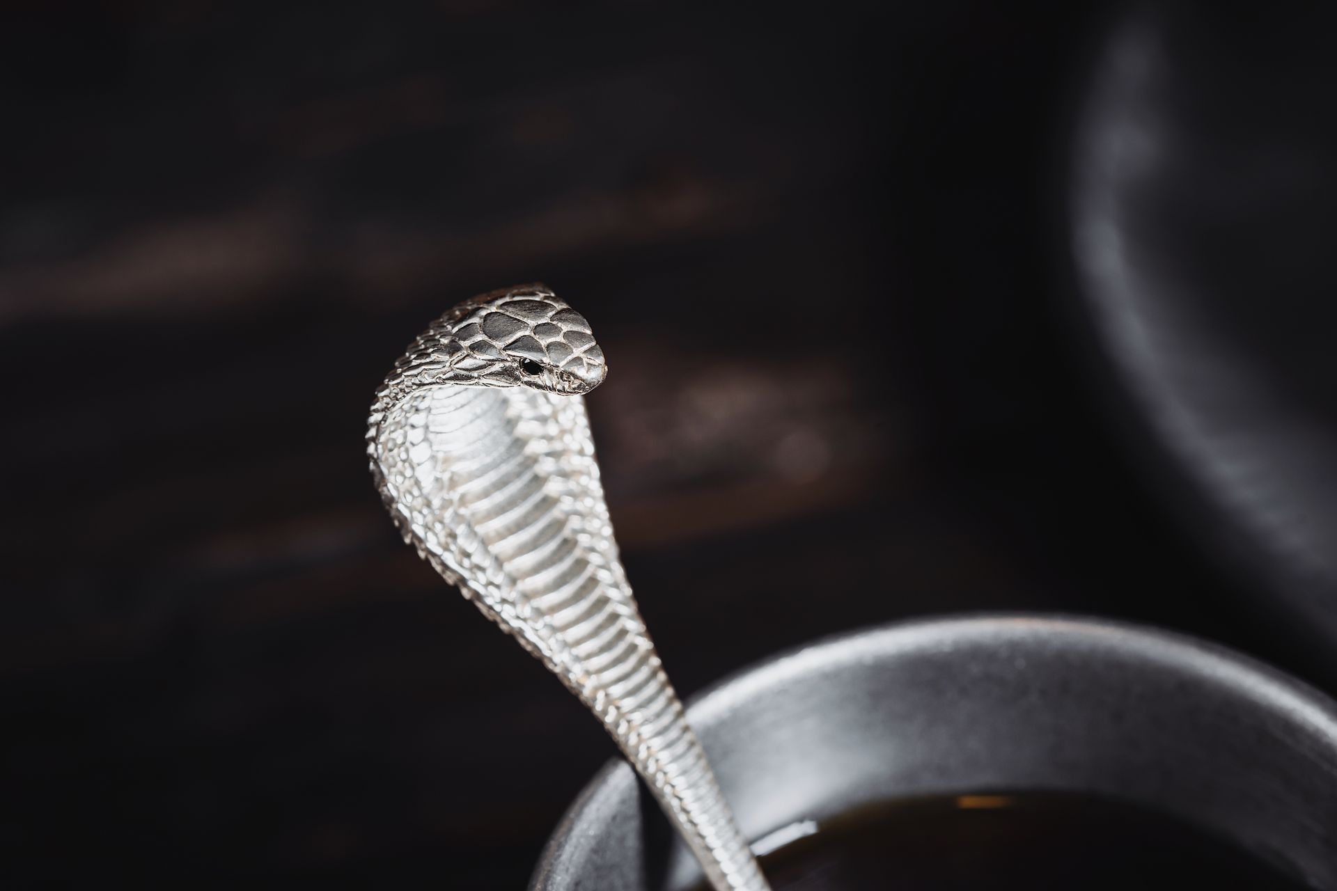 Close-up of a Teaspoon in a Shape of a Cobra