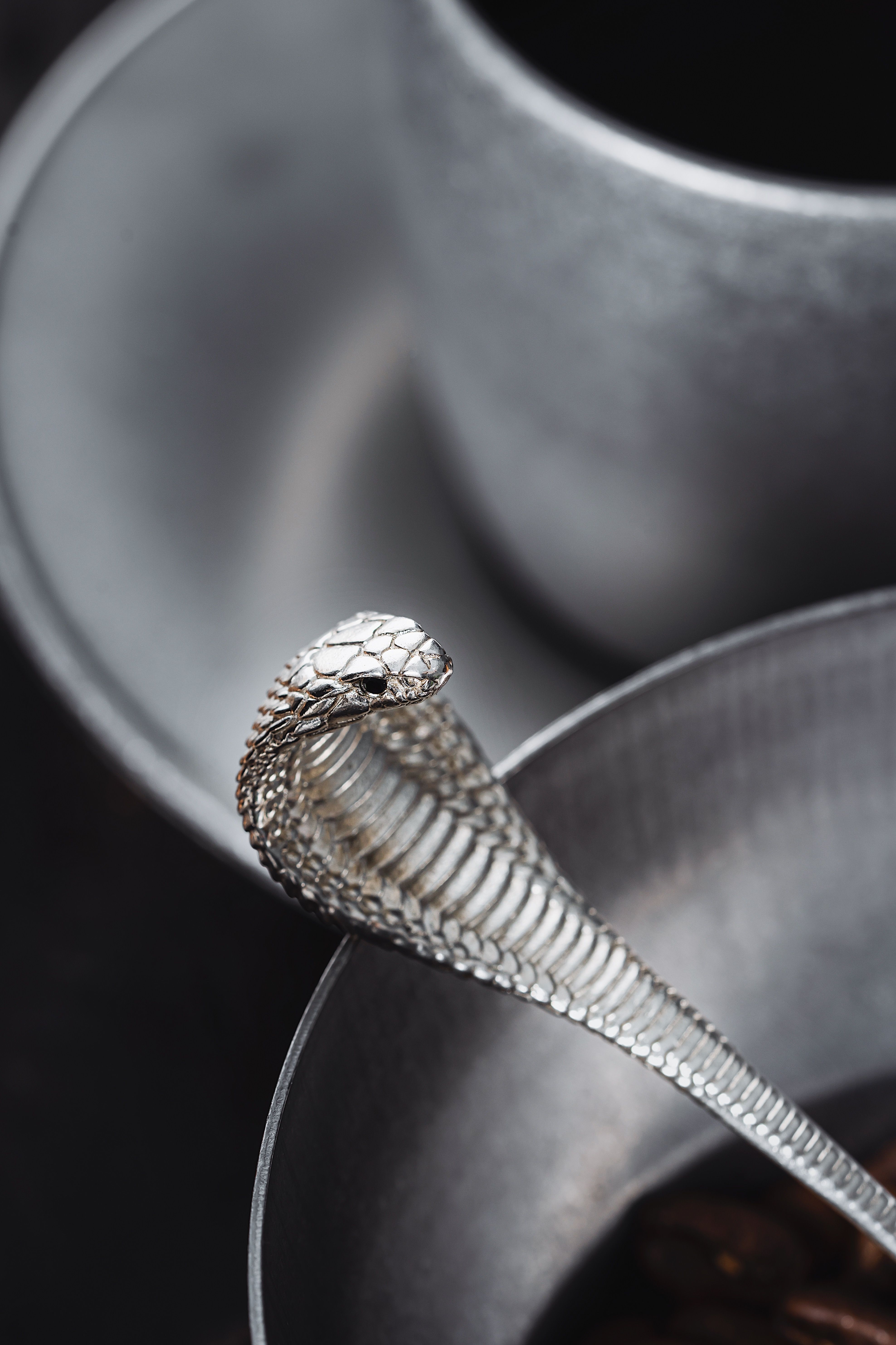 Silver Snake Spoon · Free Stock Photo