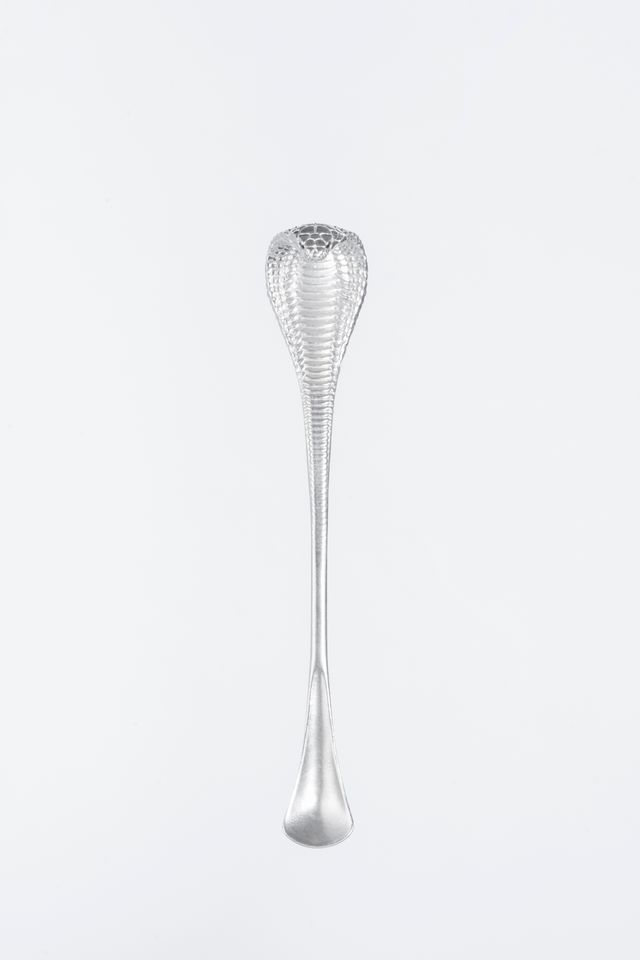 spoon