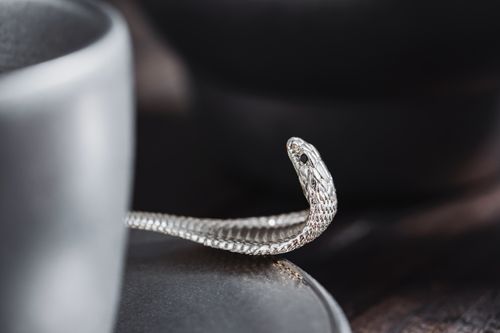 Free Artistic silver spoon with snake handle adds unique design element on dark backdrop. Stock Photo