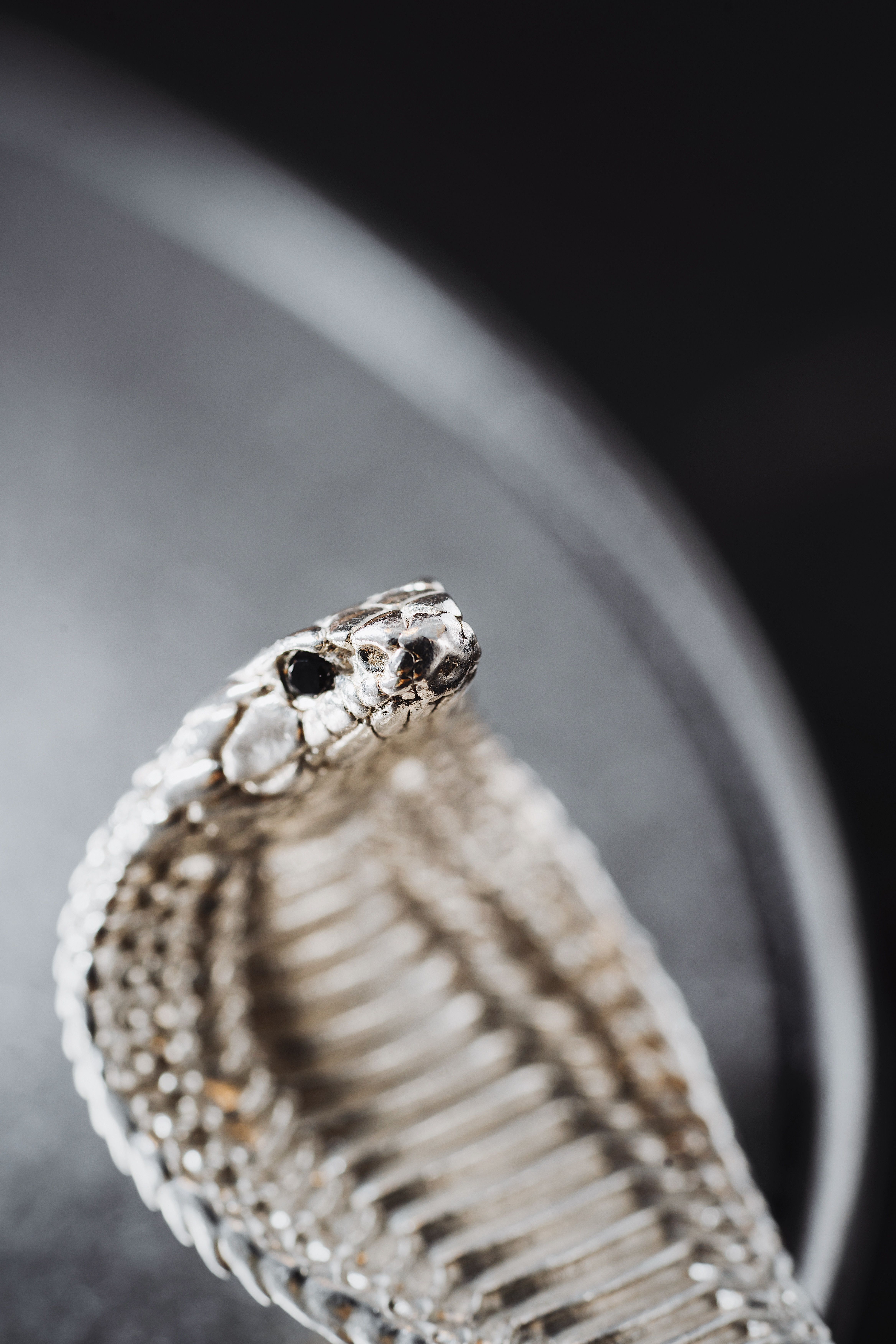 Close up of Snake Spoon · Free Stock Photo