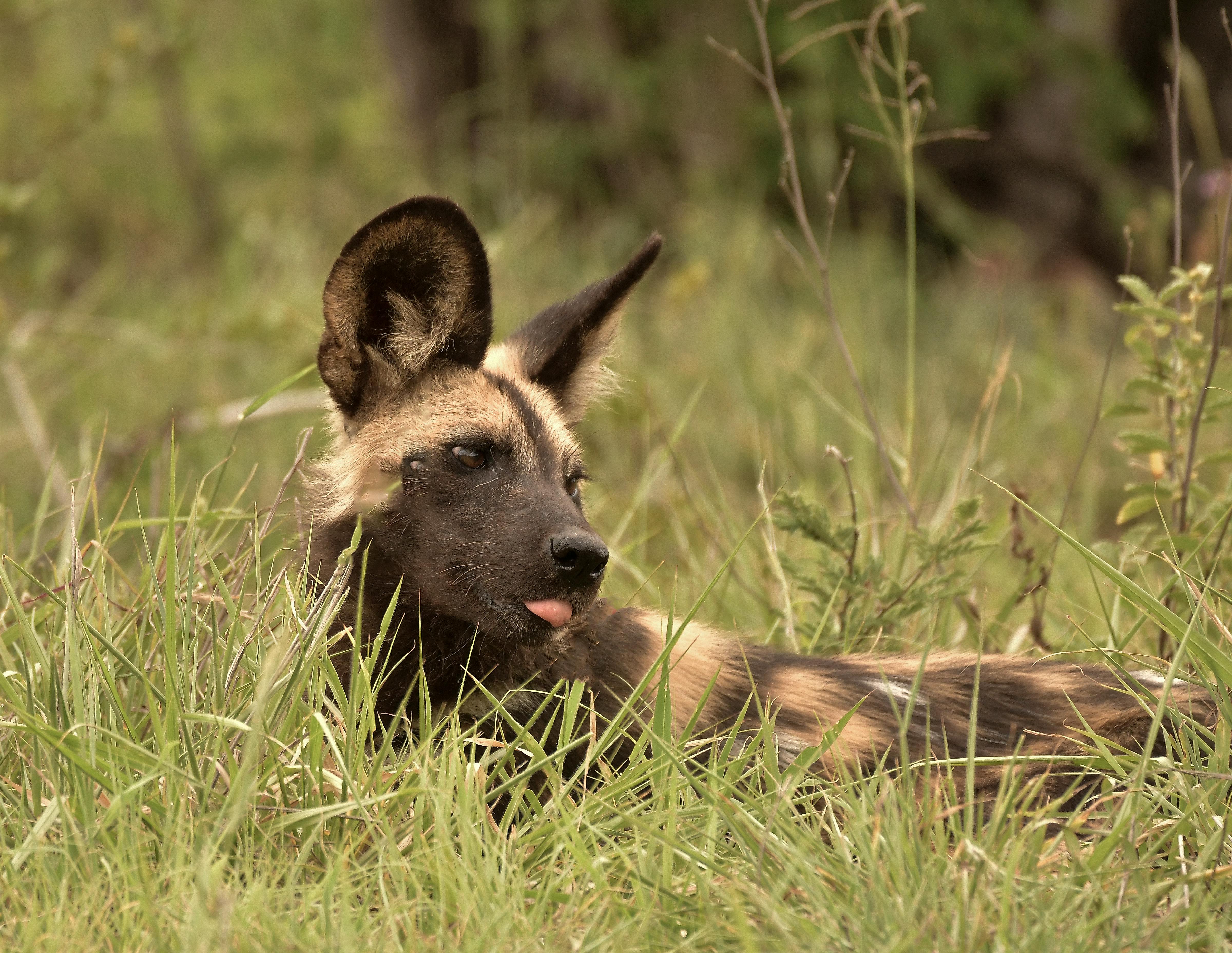 Inspiração de cílios para noivas
