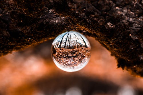 Fotografía De Enfoque Selectivo De Rocío De Agua