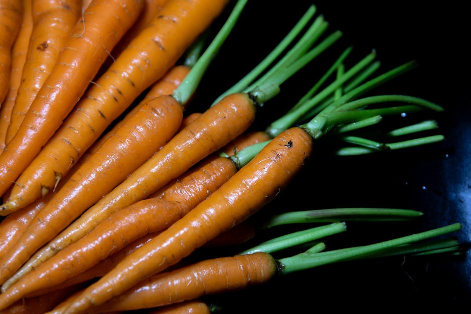 Free stock photo of carrots, cook, food