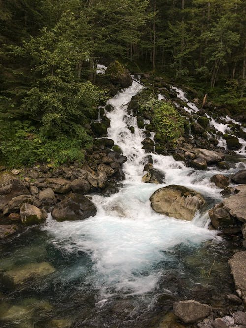 Free Waterfall in Forest Stock Photo