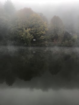 德国林堡拉恩河平静的水面上，倒映着神秘的雾森林