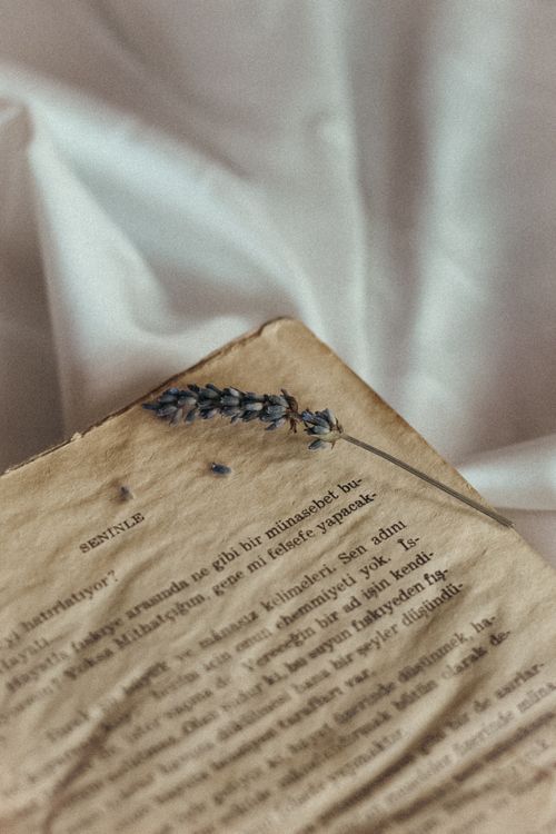 Free Vintage book page with a dried lavender flower on a soft silk background, creating an artistic composition. Stock Photo