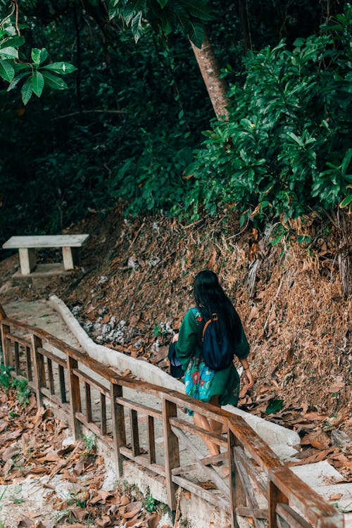 Δωρεάν στοκ φωτογραφιών με trekking, γυναίκα, δασικός