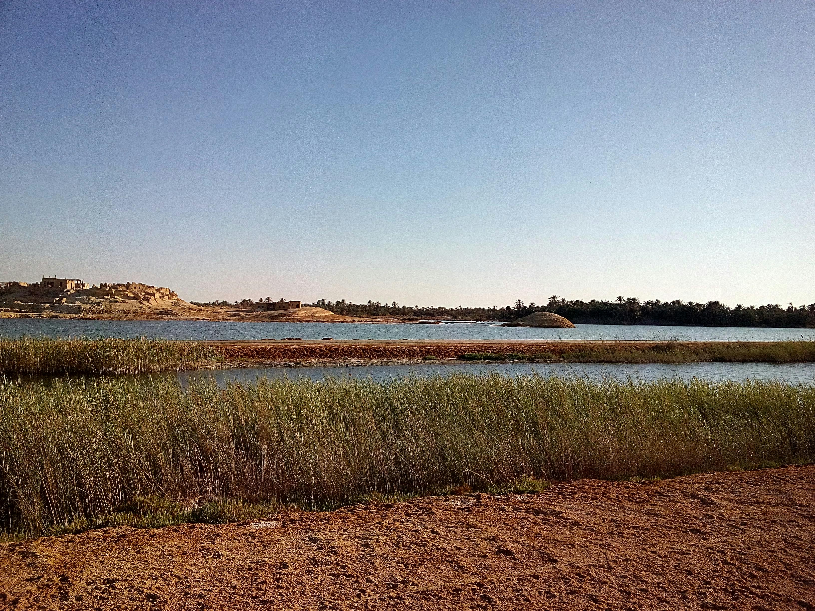 Ein friedliches Wüstencamp unter einem klaren Sternenhimmel, ideal für eine Übernachtungssafari Dubai und entspannte Nächte.