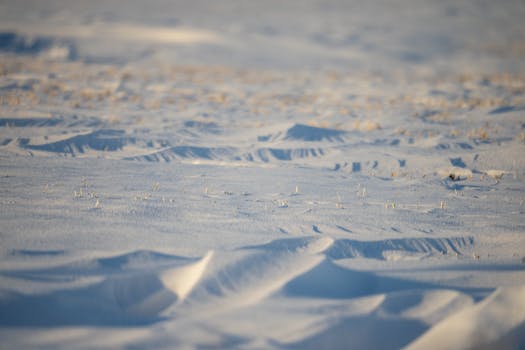 Snow-covered dunes in a frosty field capture the essence of a Midwestern winter in MN.