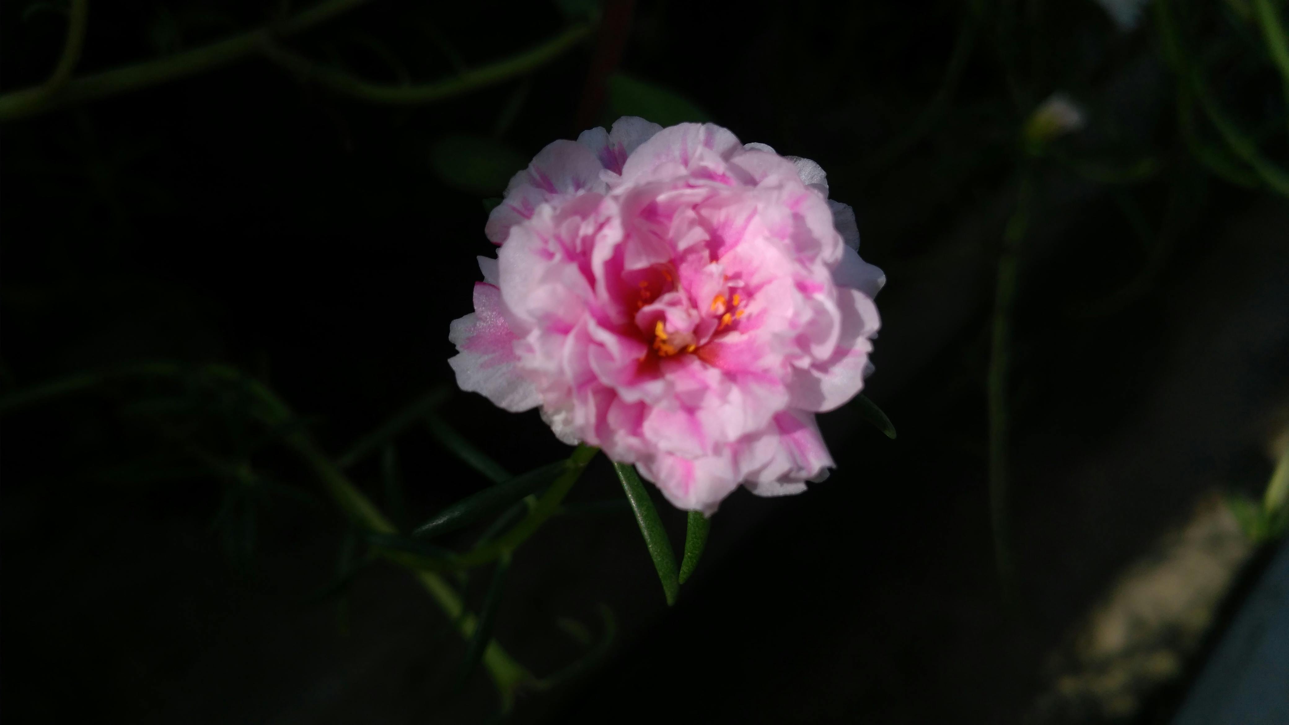 Salão de Festas Principal