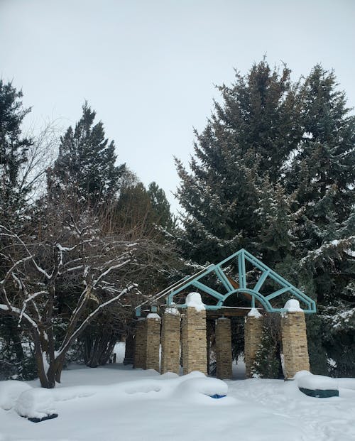 View of a Park with a Pergola near the Trees in Winter 