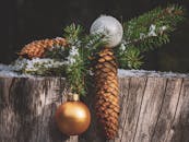 白雪皑皑的木制表面上摆放着圣诞松果和装饰品，非常适合节日主题