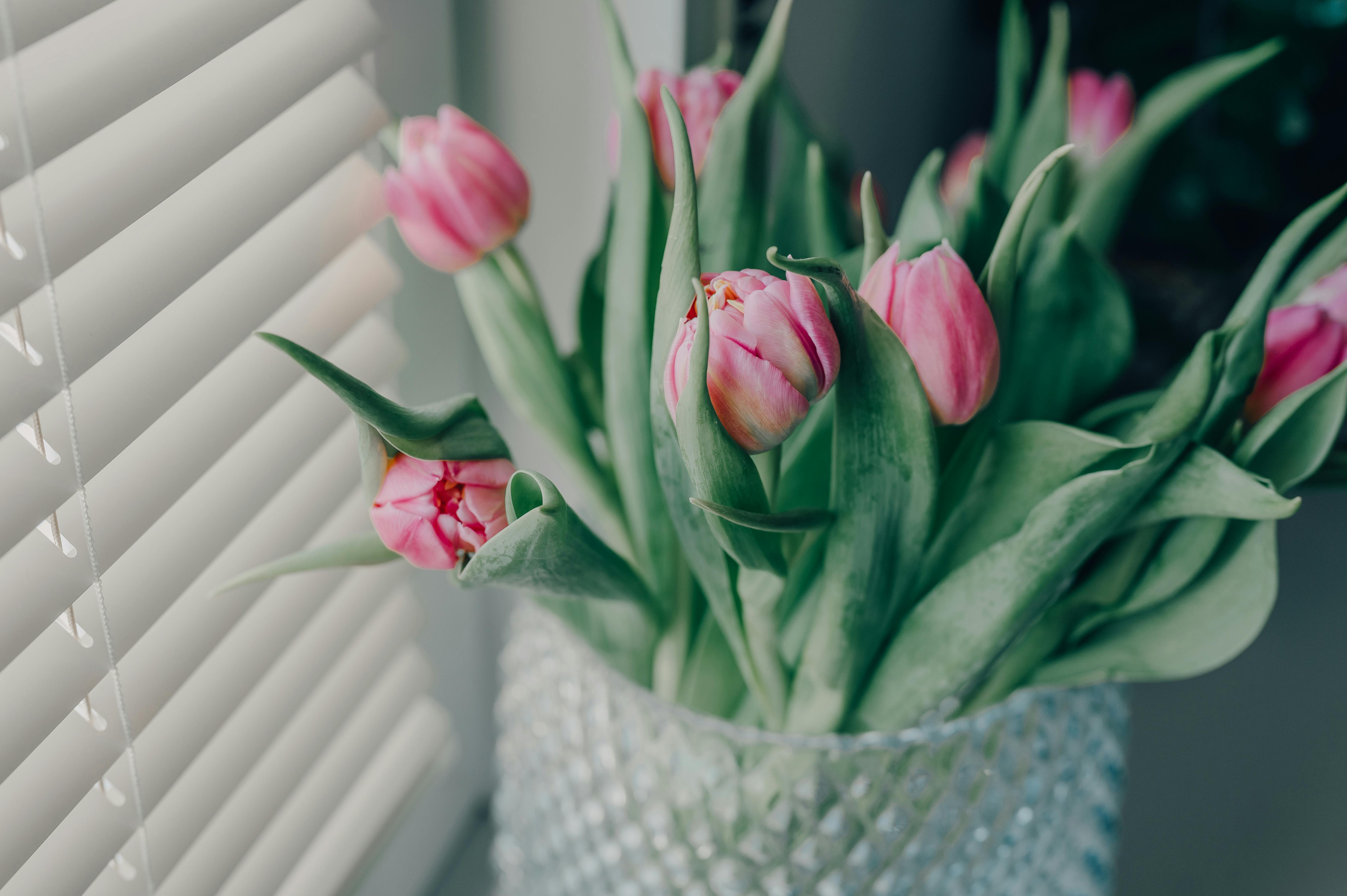Give your home a spring reset for less than $100 with these DIY home improvement projects — Photo by Lara Farber on Pexels