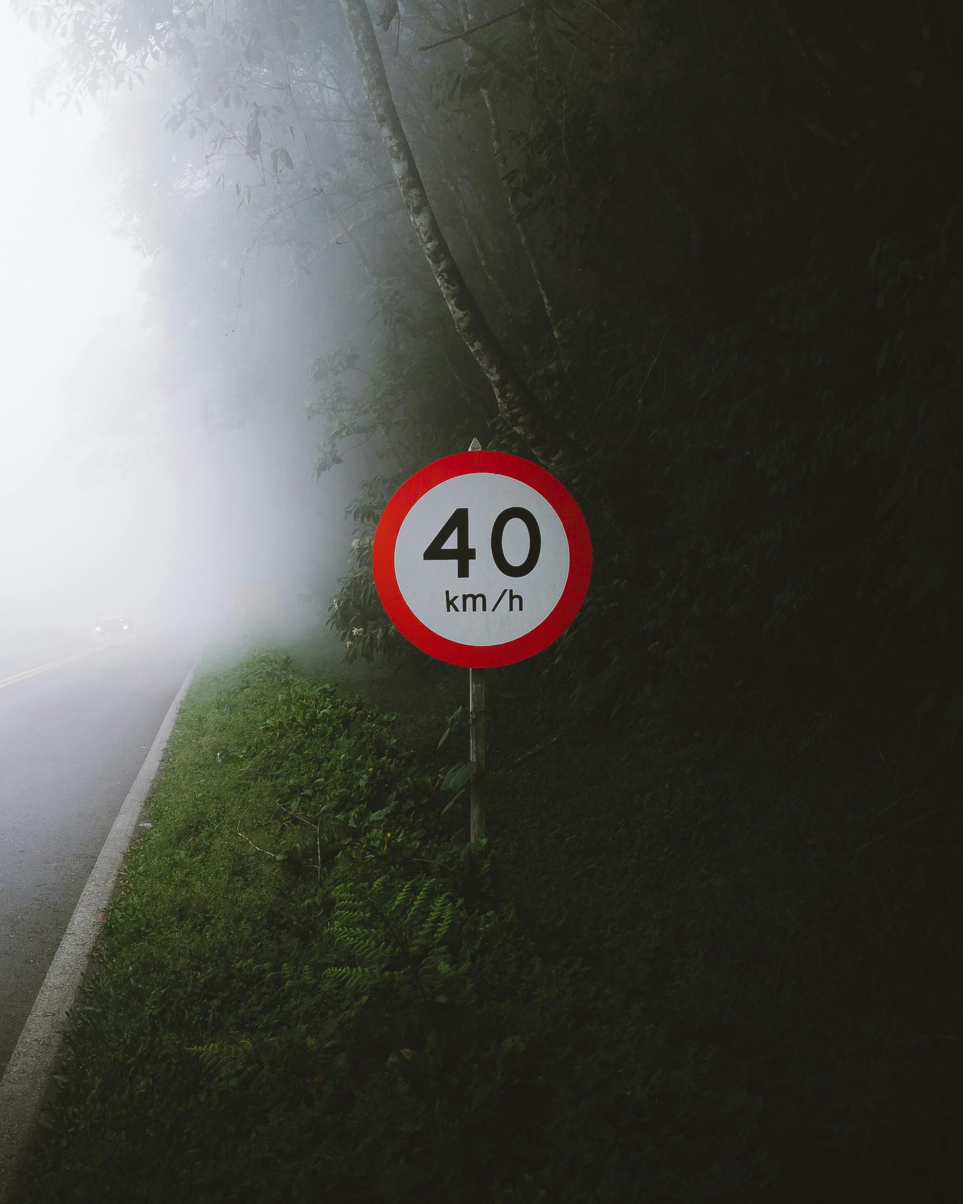 Dense fog envelops a forest road with a 40 km/h speed limit sign.